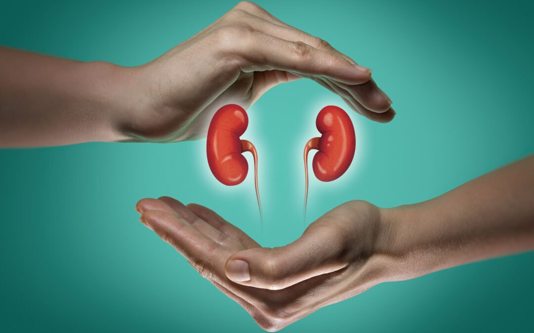 Simulect 20 mg Ámpula: ¿Para qué se usa en un trasplante de riñón?