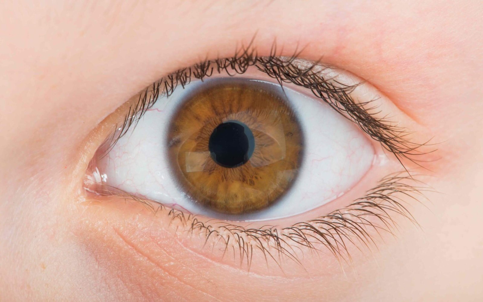 Un ojo café
